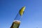 Close up of isolated bottleneck with sparkling yellow beer and a slice of lime against cloudless deep blue sky