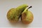 A close-up on an isolated pair of pears on white background