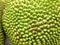 Close Up Jack Fruit Skin