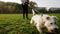 Close up. Jack Russell Terrier dog happily runs with a girl on the grass in a nature park, slow motion