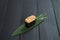 Close up of Japanese Gunkan Maki Sushi with salmon on bamboo leaf on black wooden board.