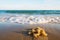 Close up jellyfish with soft wave on the sandy beach of tropical sea