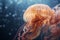 a close up of a jellyfish in the water with bubbles