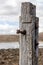 A close up of a jetty post from the myponga jetty ruins with the hills selectively blurred on the fleurieu peninsula south