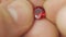 Close-up of a jeweler examines a red gem. A professional jeweler evaluates a red gemstone.