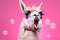 close up joyful llama on pink background, Generative AI