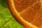 Close up of a juicy orange with a green leaf background