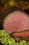 Close-up of juicy rare roast beef custed with pepper sliced with a curly green lettuce garnish - selective focus