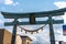 Close-up Kanadorii Torii Gate with Mount Fuji