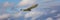 Close-up of Kestrel bird of prey hovers against a beautiful blue sky with white clouds, hunting for prey. cover