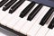 Close up of keys of electric keyboard piano