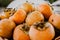 Close up of khakis fruit. Persimmons