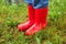 Close up of kid feet walking in red boots in green grass