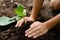 Close up Kid hand planting young tree