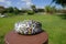 Close-up of kindness stone with you rock message painted on round pedestal