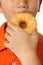 Close up Kit eating dough nut