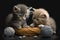 close-up of kittens playing with ball of thread, their tiny paws and claws visible