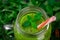 Close-up of a kiwi juice. Top view of a mason jar of green smoothie on a leaves background. Health and nature concept.