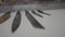 Close up of knives set lying on a white table surface in the kitchen. Action. New sharp steel knives, concept of cooking