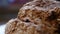 Close up of kulmbacher German bread