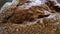 Close up of kulmbacher german bread