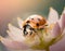 close-up of a ladybug on a pink flower, soft and pastel colors