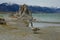 CLOSE UP: Large adult bird walking along the beautiful Mono Lake in the desert.