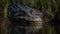 a close up of a large alligator in a body of water with grass in the foreground and in the background is a body of water