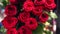 Close-up of a large bouquet of fresh scarlet roses.