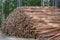 Close up of a large stack of pine timber in sunlight