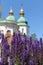 Close-up of lavender with opulent church dome in the backdrop