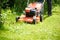 A close-up lawnmower mows the green grass on the lawn.Bright Sunny day