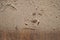 Close up layered grimy dust on faux wood grain floor