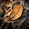 a close up of a leaf on a rock