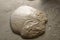 Close up of leavened pizza dough during preparation