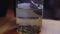 Close-up of leeches floating in a transparent glass jar with water