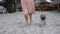 Close up leg of young woman walks barefoot on sand on the Beach with dog pug breed