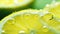 A close up of lemon slices with water droplets, AI