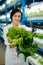 Close up of lettuce in hands of professional female agriculturist