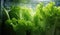 A close up of lettuce in a refrigerator, AI