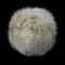 Close up of light green rabbit fur pompom isolated on white background.