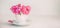 Close up light pink peony flowers bouquet in a decorative cup and saucer on white wooden table. Love. Gift greeting compliment bac