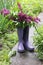 A close up of a lilac bouquet in old polka dot rain boots on the village road