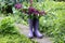 A close up of a lilac bouquet in old polka dot rain boots on the village road