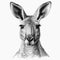 Close-up line art portrait of Kangaroo on white background, pencil drawing. Generative AI