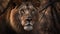 a close up of a lion near a tree with no leaves on it\\\'s head and a blurry background of trees and branches