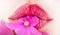 Close-up lips and flower. Close-up beautiful female lip with bright lipgloss makeup. Spa and cosmetics. Lips with