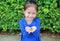 Close-up little Asian child girl holding color coated chocolate candy in her hands