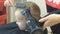 Close up of little boy hair styling. Child hairstyle. Drying hair in child hairdressing salon. Styling hair dryer. Children haircu