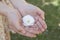 Close-up of little girls hands cupped together and holding a cherry blossom